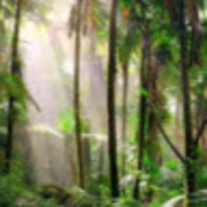 Meet your Posher, Lucy